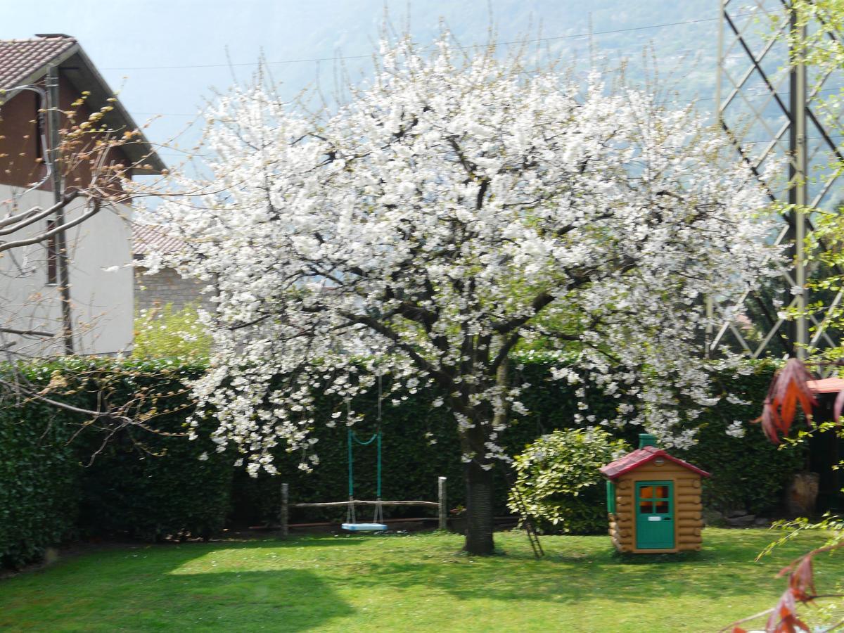 La Casa Di Clara Bed & Breakfast Esine ภายนอก รูปภาพ