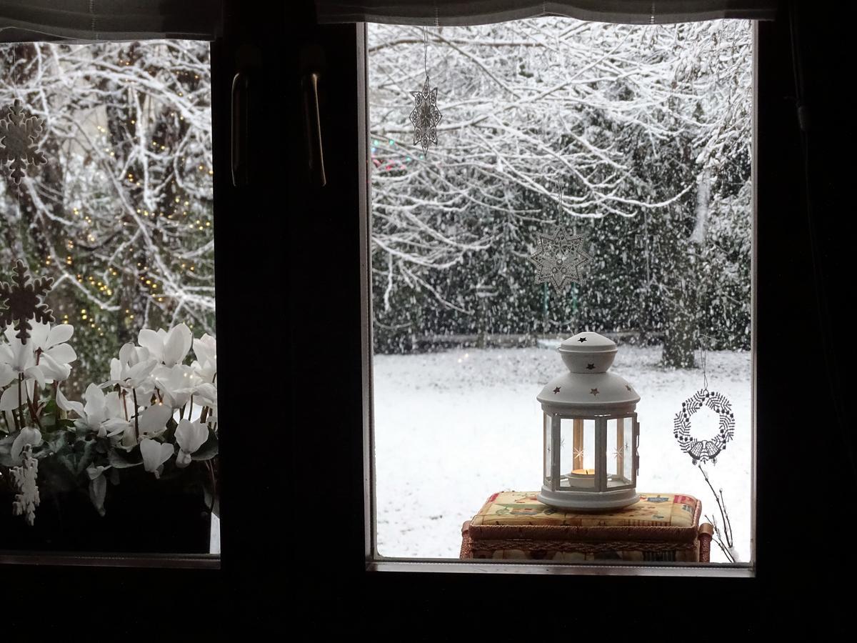 La Casa Di Clara Bed & Breakfast Esine ภายนอก รูปภาพ